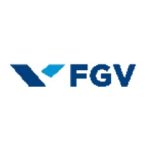 FGV - Copia